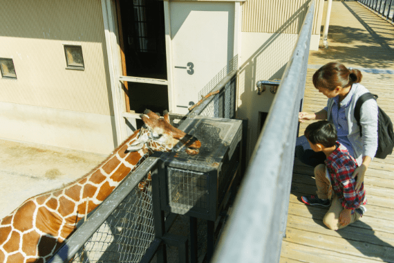 「京都市動物園」写真08