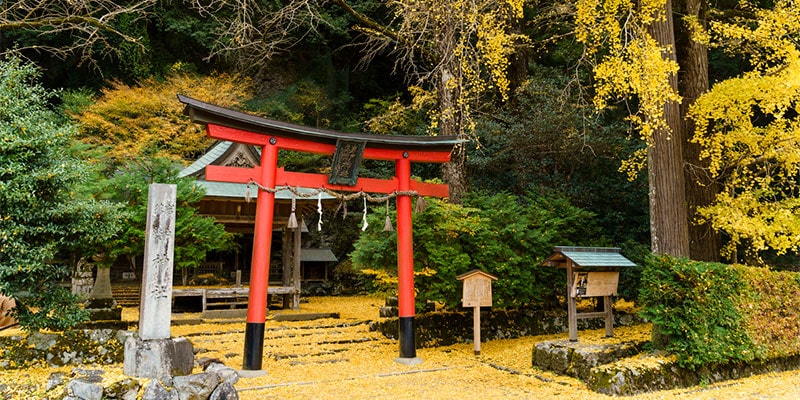 京都観光Naviぷらす