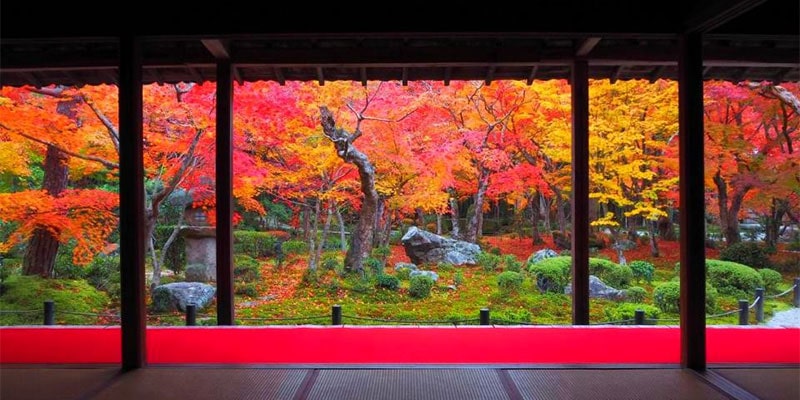 京都観光Naviぷらす