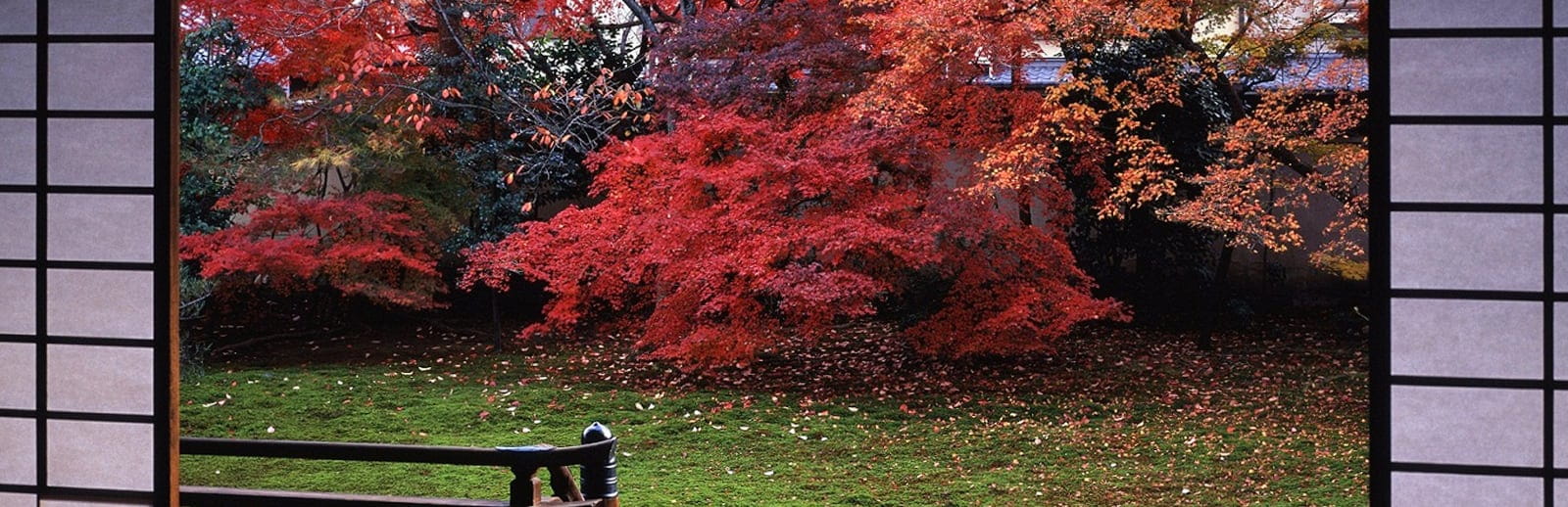 宝鏡寺 本堂庭園