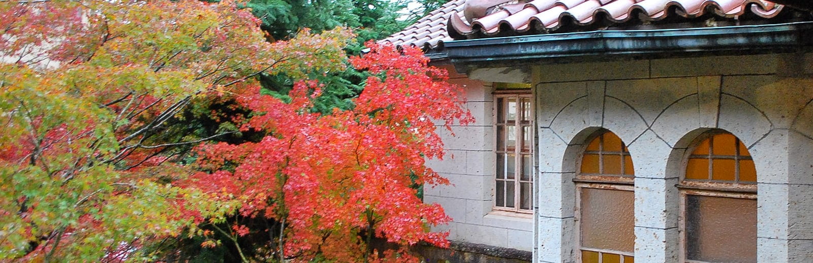 和中庵 洋館 通天橋から