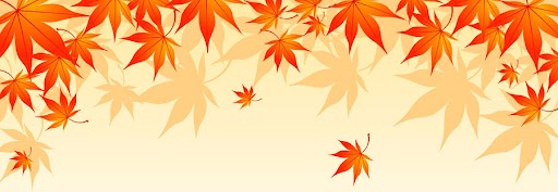 秋の京都観光で知っておきたいこと