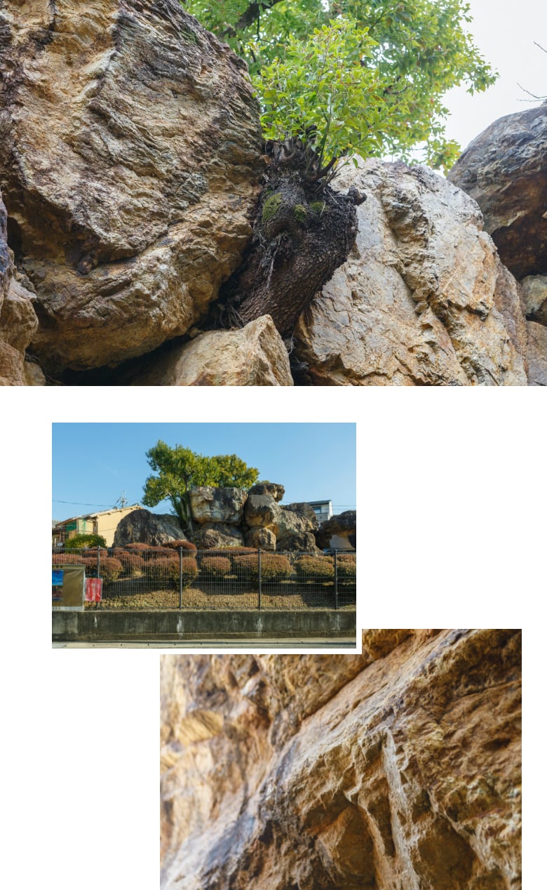 住宅街に残る7世紀の痕跡「蛇塚古墳」写真03
