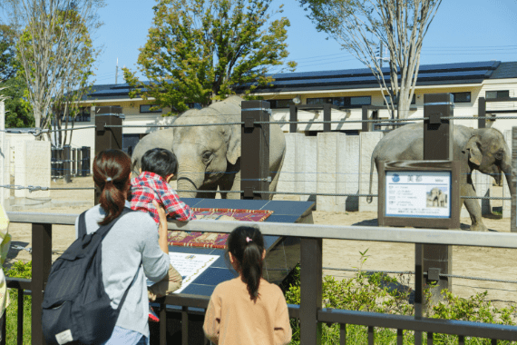 「京都市動物園」写真09