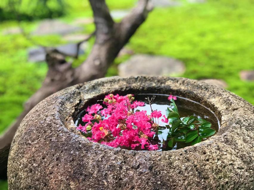 8月には庭のサルスベリが咲きます！手水鉢に浮かべてお楽しみいただいております。