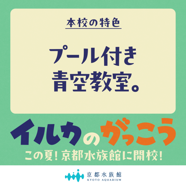 「イルカのがっこう」本校の特色①