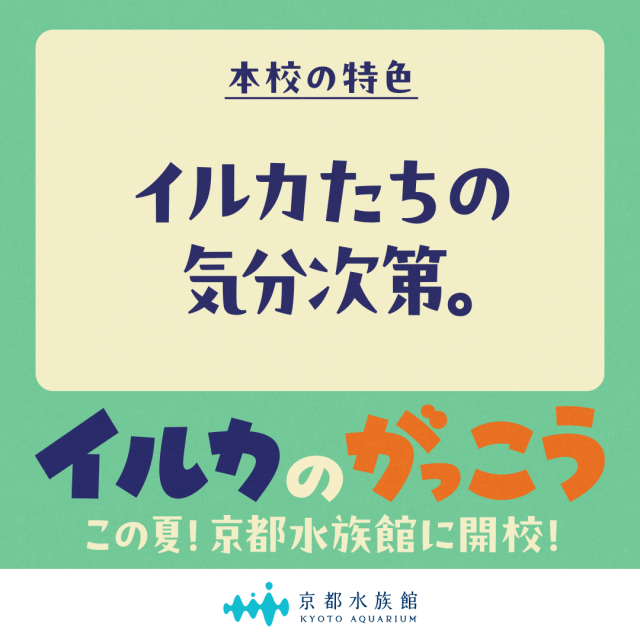 「イルカのがっこう」本校の特色②