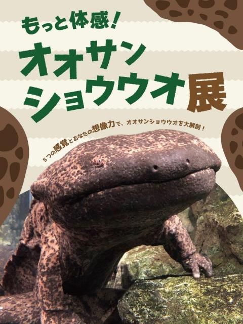 もっと体感！オオサンショウウオ展