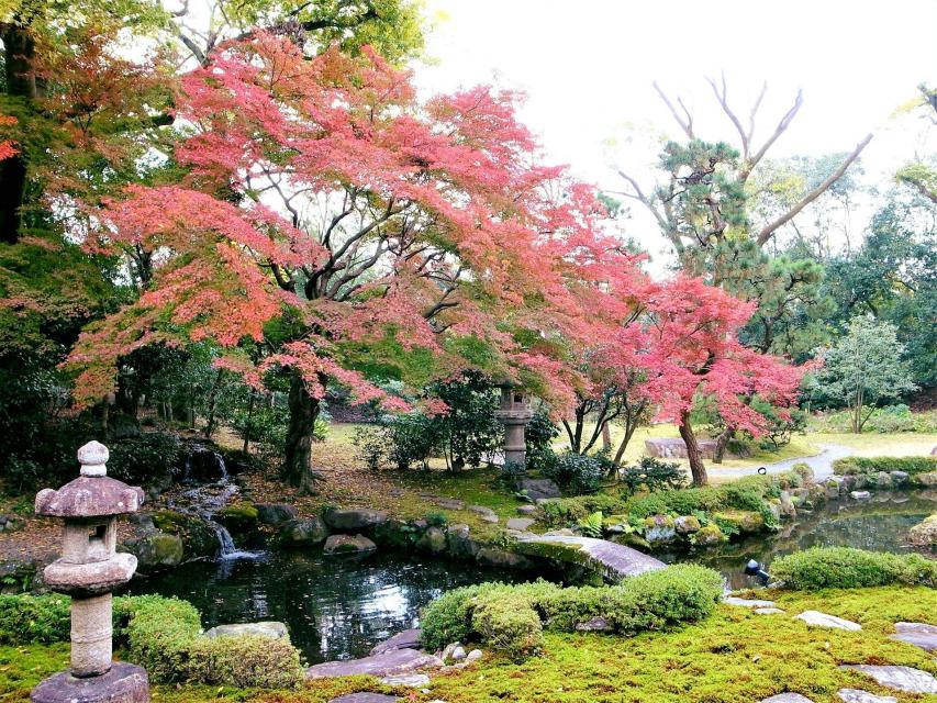 庭園の紅葉