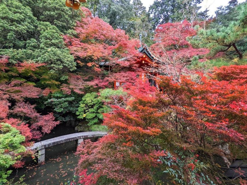 毘沙門堂の紅葉（イメージ）