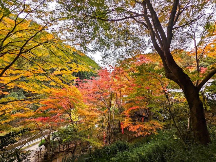 山科聖天（イメージ）