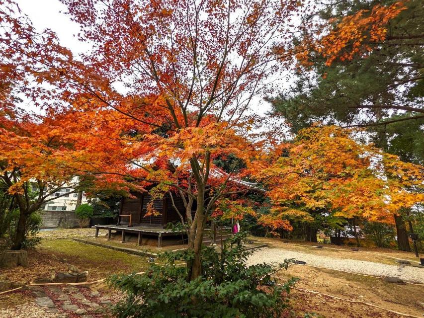 安祥寺（イメージ）