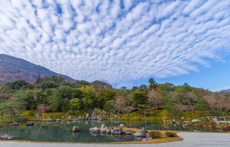 嵐電 北野線開業100周年プレミアム企画 天龍寺派の寺院を巡る 天龍寺・等持院・鹿王院　 ＜気ままにめぐる個人フリープラン＞