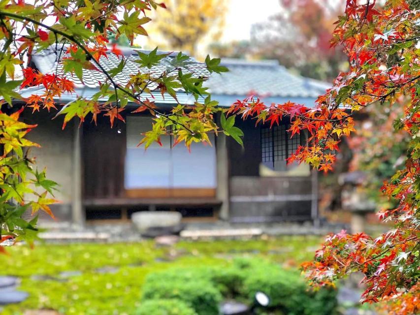 円窓のお茶室にて呈茶をお楽しみいただけます。