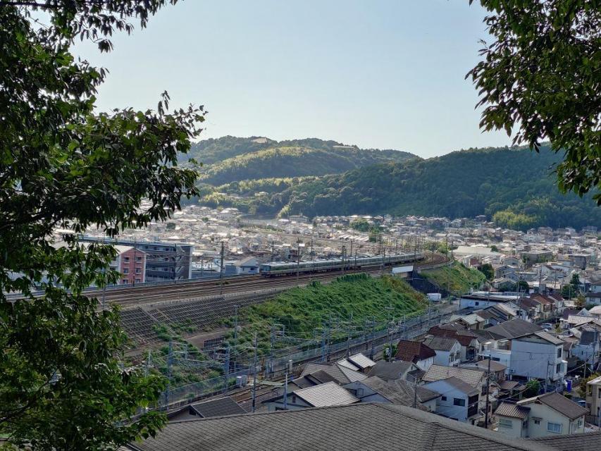 山科の静かな散歩道～山科疏水沿いと神聖な森へ