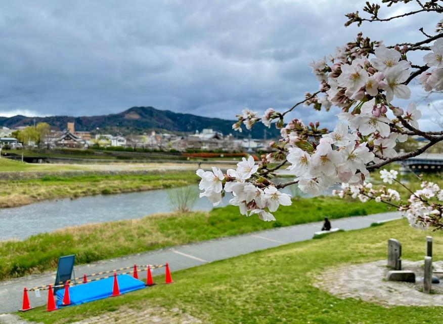 3月下旬は桜の時期ですね