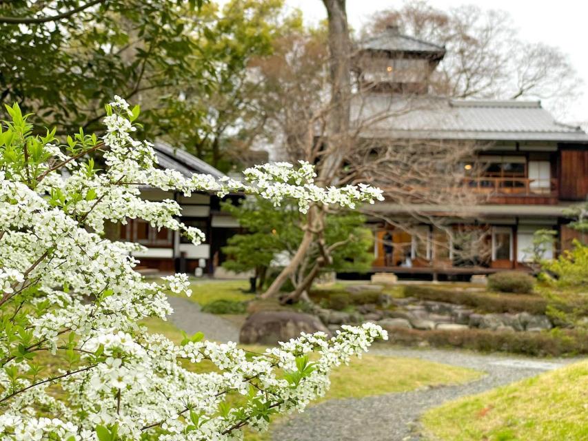 長い冬が終わり、今年も京都の春が訪れます。