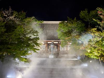 一般拝観終了後の特別企画！世界遺産仁和寺　雲海ライトアップ（ワンドリンク券・参拝記念品付）