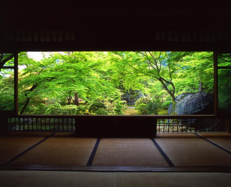 【宝厳院】春の特別公開～苔と青もみじと朝坐禅～