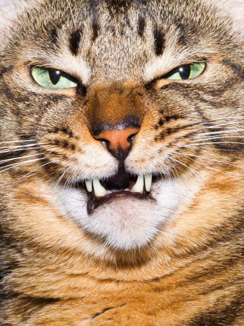 Urban Paradise - neither inside nor outside ©︎Sohei Nakanishi