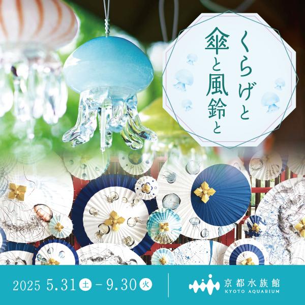 クラゲと傘と風鈴と
