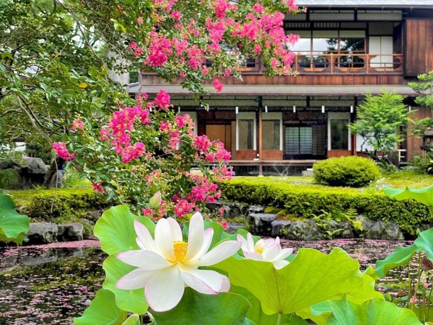 庭池では蓮花もお楽しみいただけます