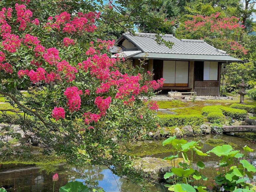 百日紅と茶室