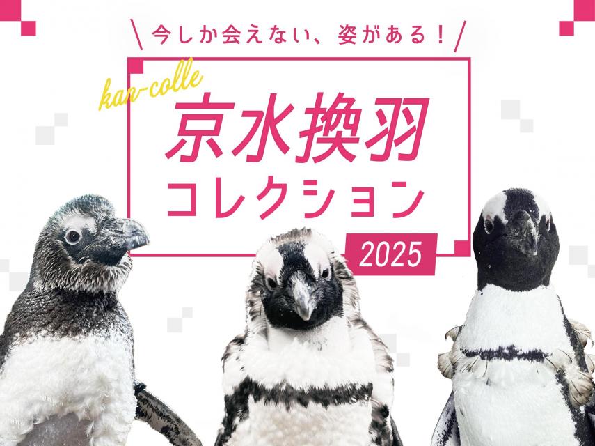 京水換羽コレクション2025