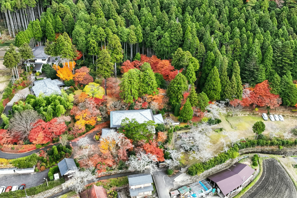 大原山荘の風景
