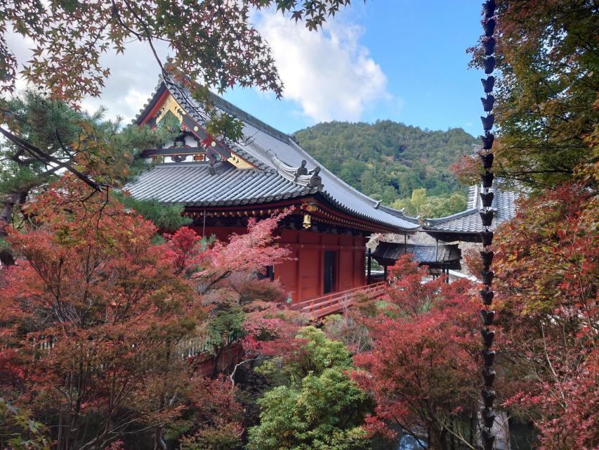 紅葉の便り♪紅葉色と緑の共演を毘沙門堂門跡で愉しむウォーキングツアー