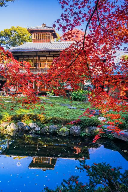 紅葉と別邸　12月中旬まで見頃です！　写真提供：水野秀比古