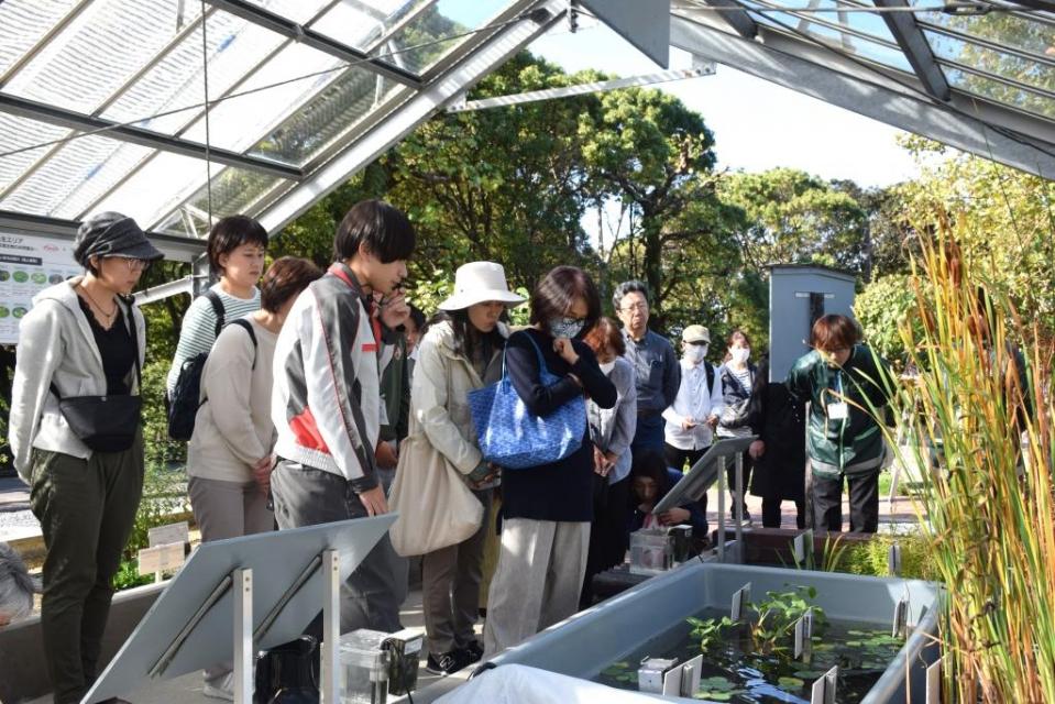 いきもの共生エリア　見学の様子