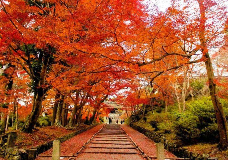 山科_毘沙門堂