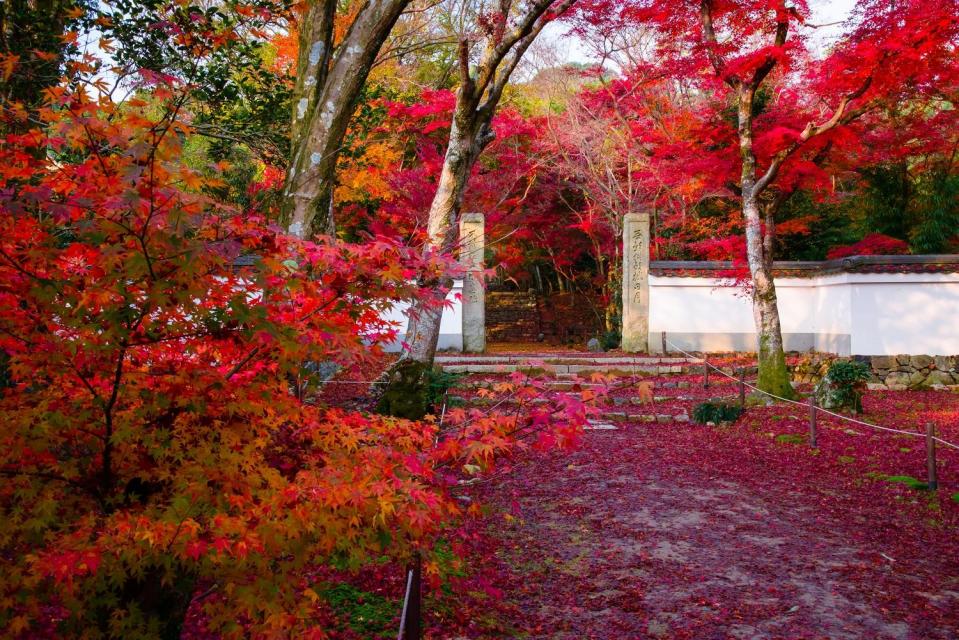 西京_浄住寺