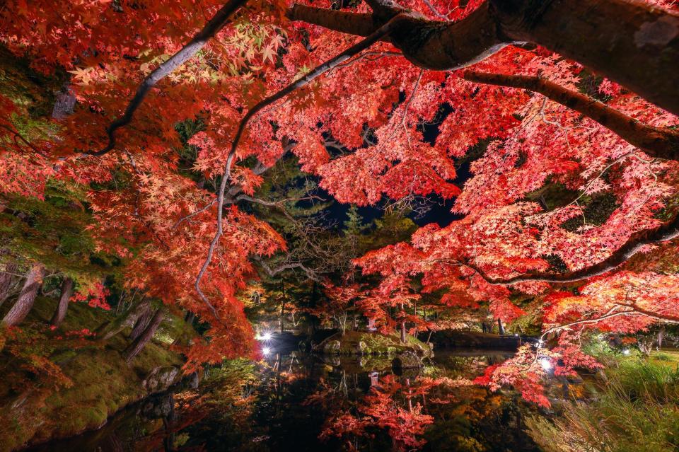 綾部市：大本神苑