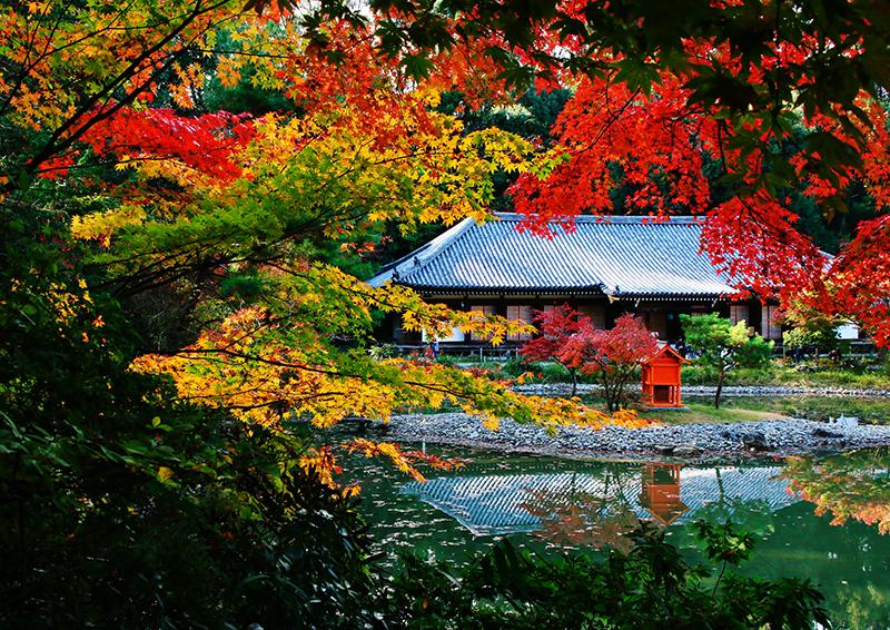 木津川市：浄瑠璃寺
