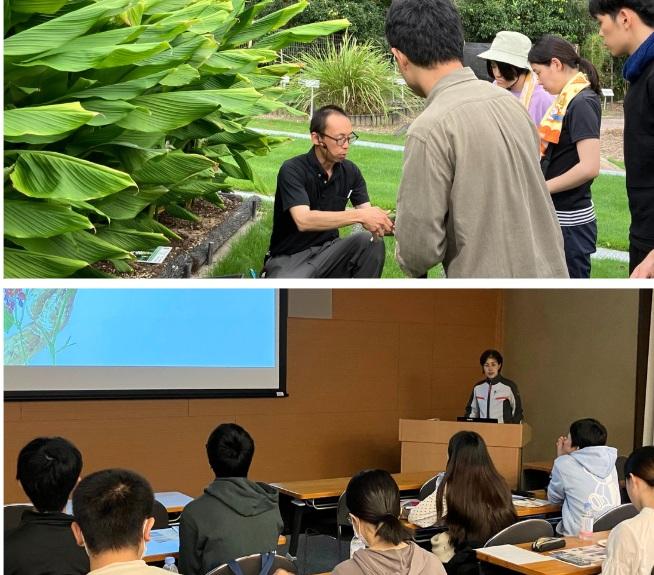 植物園見学・講義イメージ　　