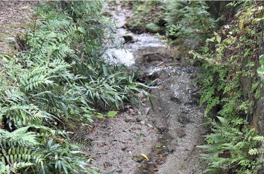 植物園での地質観察