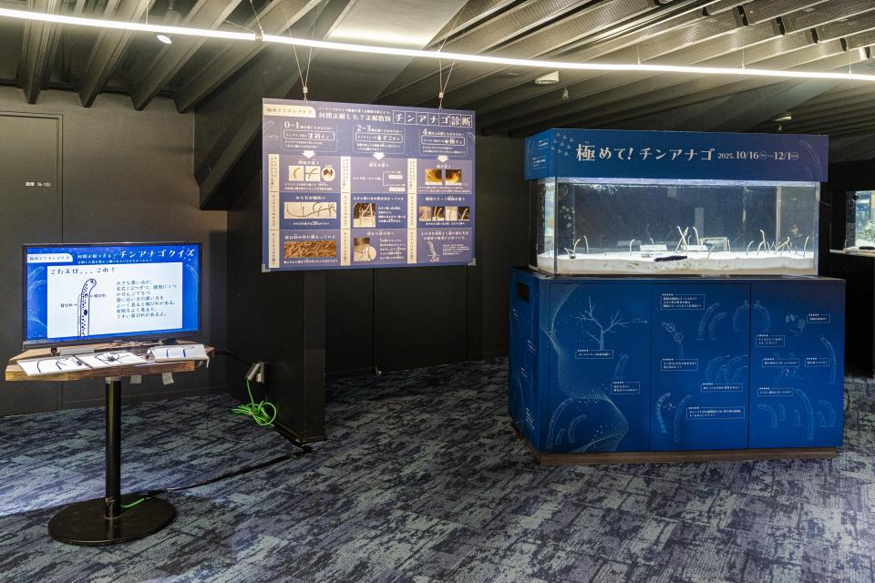 展示風景