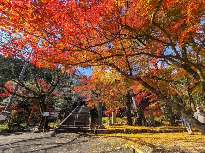 岩屋寺の紅葉（イメージ）