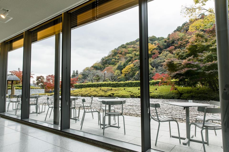 美しい紅葉を眺めながらテラス付のカフェで休憩