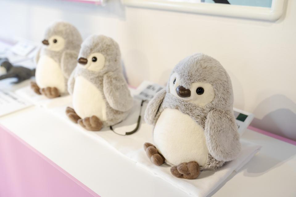 ペンギンの個体差も知れる