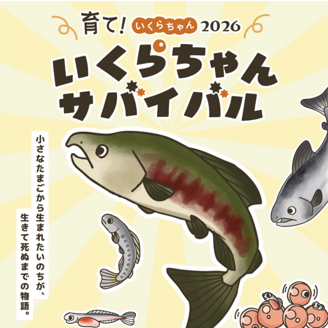 育て！いくらちゃん2026