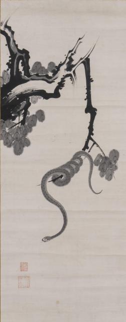 伊藤若冲《蛇図》 18世紀 個人蔵 通期展示