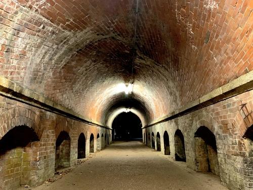 ガイドと歩く～祝！国宝指定・琵琶湖疏水と特別名勝・金地院～