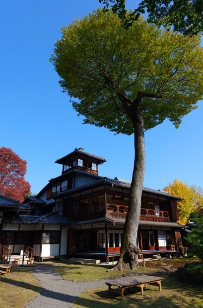 審査員特別賞 「okanotaiyodo:変わらぬ進化」