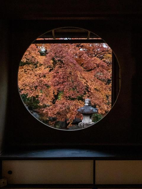 審査員特別賞 「gathering0426:円窓の秋」