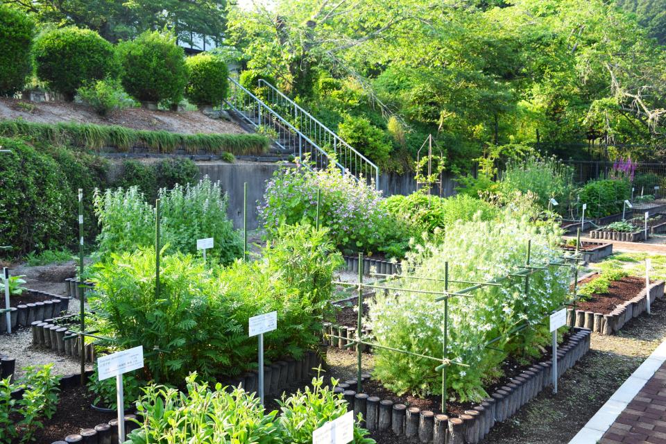 民間薬園