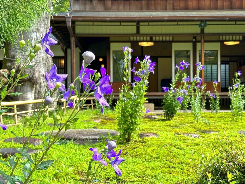 6月。別邸のお庭では桔梗の花が咲き乱れています。