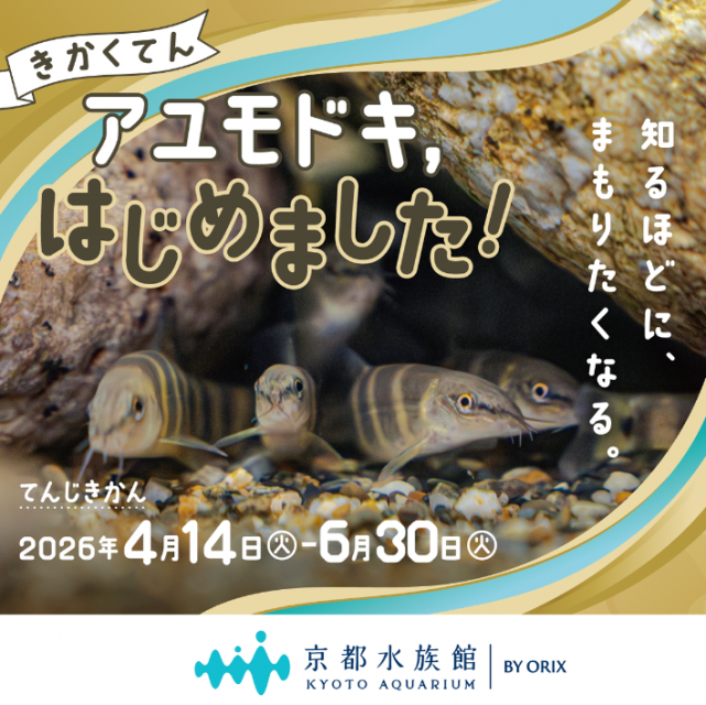 「アユモドキ、はじめました！」